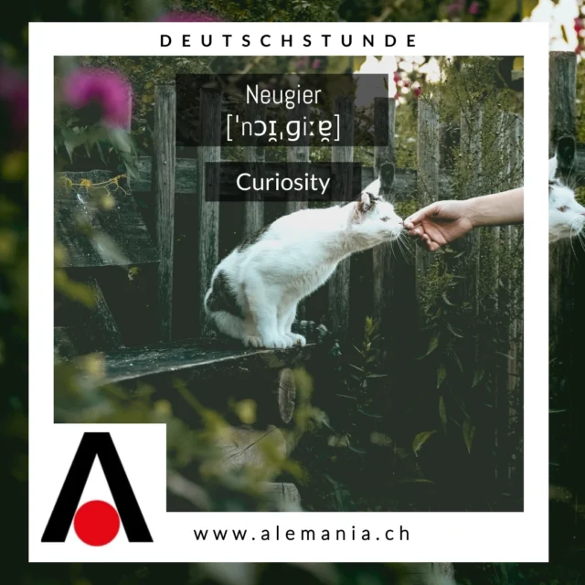 Neugierde öffnet Türen zu neuen Möglichkeiten und Abenteuern. Was möchtest du diese Woche entdecken? 🔍✨

📚👌🤓🎓Lerne schnell, effizient und mit Spass die deutsche Sprache. Konversation & Grammatik sind die Grundlage um Deutsch zu lesen, hören, verstehen und zu schreiben.

NUTZE DEINE VORTEILE & BUCHE JETZT DIREKT ONLINE:
❤️ GRATIS EINSTUFUNGSTEST
❤️ GRATIS PROBELEKTION
❤️ BESTIMME DEINE ZAHLUNG SELBST | IN 1 - 3 RATEN ZAHLEN

❤️ fast 20 Jahre Erfahrung und 100 DaF-Lehrer:innen. Alemania ist die beste Wahl wenn es um Deutsch geht.

Mehr Informationen über die Alemania:
📧 zuerich@alemania.ch
☎️ +41 (0) 44 300 33 44
🚩 Badenerstrasse 333 | 8003 Zürich

📧 luzern@alemania.ch
☎️ +41 (0) 41 202 11 11
🚩 Pilatusstrasse 20 | 6003 Luzern

📧 bern@alemania.ch
☎️ +41 (0) 31 332 31 31
🚩 Belpstrasse 48 | 3007 Bern

#deutschlernen #deutschwissen #sprachschule #deutschkurs #germanlessons #deutschfürpflegeberufe #deutschkursmedizin #deutschfürpflege #vokabelnlernen #aprenderaleman #alemanfacil #telcprüfung #sprachkurse #germancourse #germanschoolzurich #escoladealemão #cursodealemão #goatheinstitut #aprendendoalemão #aulasdealemão #germanclasses
