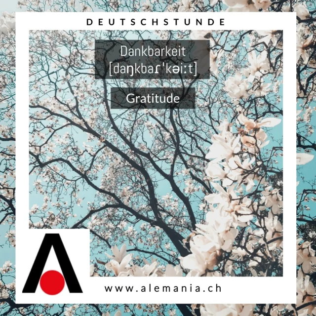 Wir sind dankbar für jeden einzelnen von euch.
Für eure Neugier, eure Geduld, eure Ausdauer – und für den Mut, eine neue Sprache zu lernen.
Sprachen verbinden – und ihr macht es möglich. 💬❤️

📚👌🤓🎓Lerne schnell, effizient und mit Spass die deutsche Sprache. Konversation & Grammatik sind die Grundlage um Deutsch zu lesen, hören, verstehen und zu schreiben.

NUTZE DEINE VORTEILE & BUCHE JETZT DIREKT ONLINE:
❤️ GRATIS EINSTUFUNGSTEST
❤️ GRATIS PROBELEKTION
❤️ BESTIMME DEINE ZAHLUNG SELBST | IN 1 - 3 RATEN ZAHLEN

❤️ fast 20 Jahre Erfahrung und 100 DaF-Lehrer:innen. Alemania ist die beste Wahl wenn es um Deutsch geht.

Mehr Informationen über die Alemania:
📧 zuerich@alemania.ch
☎️ +41 (0) 44 300 33 44
🚩 Badenerstrasse 333 | 8003 Zürich

📧 luzern@alemania.ch
☎️ +41 (0) 41 202 11 11
🚩 Pilatusstrasse 20 | 6003 Luzern

📧 bern@alemania.ch
☎️ +41 (0) 31 332 31 31
🚩 Belpstrasse 48 | 3007 Bern

#deutschlernen #deutschwissen #sprachschule #deutschkurs #germanlessons #deutschfürpflegeberufe #deutschkursmedizin #deutschfürpflege #vokabelnlernen #aprenderaleman #alemanfacil #telcprüfung #sprachkurse #germancourse #germanschoolzurich #escoladealemão #cursodealemão #goatheinstitut #aprendendoalemão #aulasdealemão #germanclasses